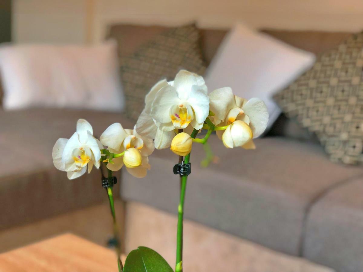 Residence St-Martin 루베 외부 사진